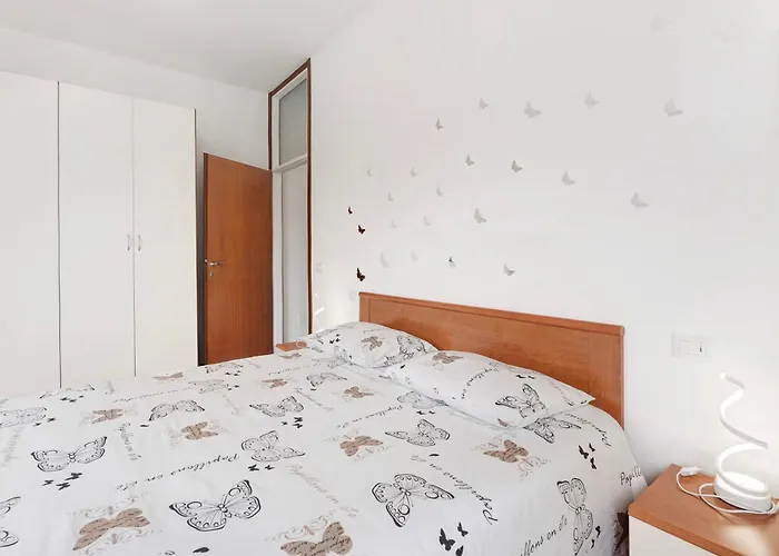 Aurora - 베르바니아